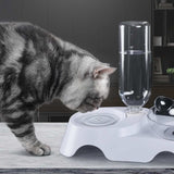 Single/Double 15 Degrees Incline Oblique Cat Ears Cat Bowl Drinking Eating Feeder Adjustable Removable Pet Food Holder Clear